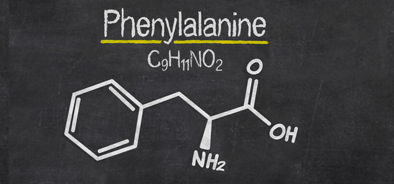 Phenylalanine picture 